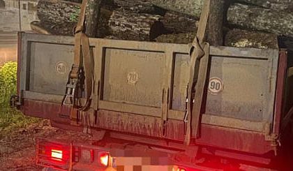 Prins cu lemne de foc furate in valoare de 576 de lei un barbat din Pojorata a fost amendat cu 4000 de lei