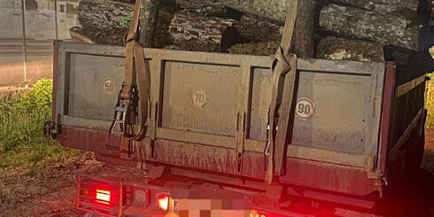 Prins cu lemne de foc furate in valoare de 576 de lei un barbat din Pojorata a fost amendat cu 4000 de lei