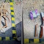 Pusca neinregistrata cartuse si patru coarne de cerb descoperite in vehiculul unui barbat din Izvoarele Sucevei