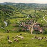 Scrisoare deschisa Strategia Biodiversitatii ameniinta agricultura romaneasca