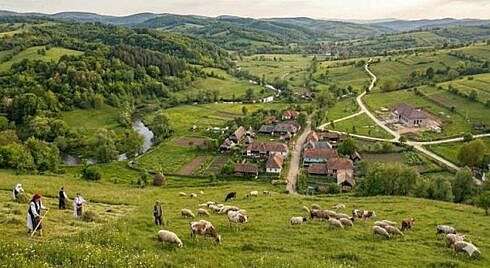 Scrisoare deschisa Strategia Biodiversitatii ameniinta agricultura romaneasca