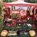 Targul producatorilor locali si expozitia de masini de epoca la Zilele Comunei Moara de la Iaz Hagigadar
