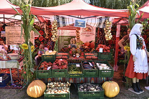 Targul producatorilor locali si expozitia de masini de epoca la Zilele Comunei Moara de la Iaz Hagigadar