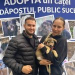 Trei caini de la Adapostul Public Suceava si au gasit stapani la targul de adoptii FOTO