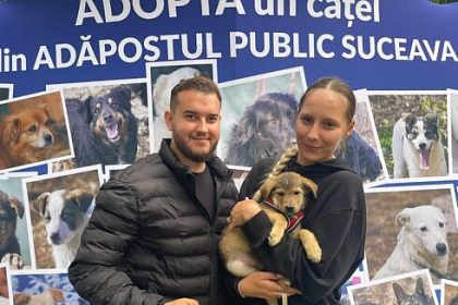 Trei caini de la Adapostul Public Suceava si au gasit stapani la targul de adoptii FOTO