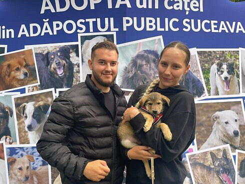 Trei caini de la Adapostul Public Suceava si au gasit stapani la targul de adoptii FOTO