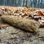 Un turist din Iasi a descoperit un proiectil din Al Doilea Razboi Mondial la marginea unei paduri din Dorna Arini