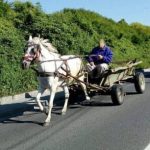 fetita de 1 an si 8 luni aruncata pe asfalt din caruta condusa cu viteza de tatal ei