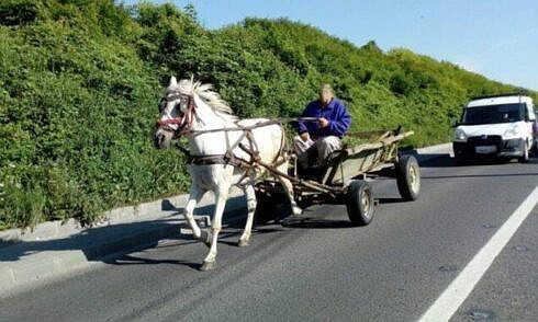 fetita de 1 an si 8 luni aruncata pe asfalt din caruta condusa cu viteza de tatal ei
