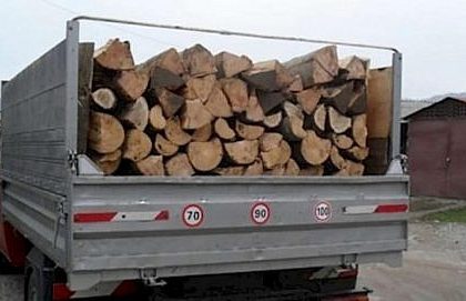 transport ilegal de resturi de lemn de fag in valoare de 628 de lei interceptat de politistii din vadu moldovei