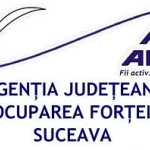 AJOFM Suceava anunță posturi disponibile pentru transfer la cerere în proiectul SMART SPO
