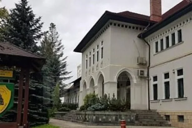 Anunț public: solicitare acord mediu pentru reabilitarea Drumului Forestier Știrbu