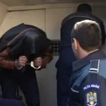 Bărbat de 23 de ani, arestat 30 de zile pentru că a bătut cu parul un cal pe drum