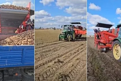 Copiii din Horodnic de Sus primesc masă caldă. Primarul cere ajutor la sortarea cartofilor