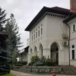 Direcția Silvică Suceava solicită Acord de Mediu pentru drum forestier Pârâul Rece