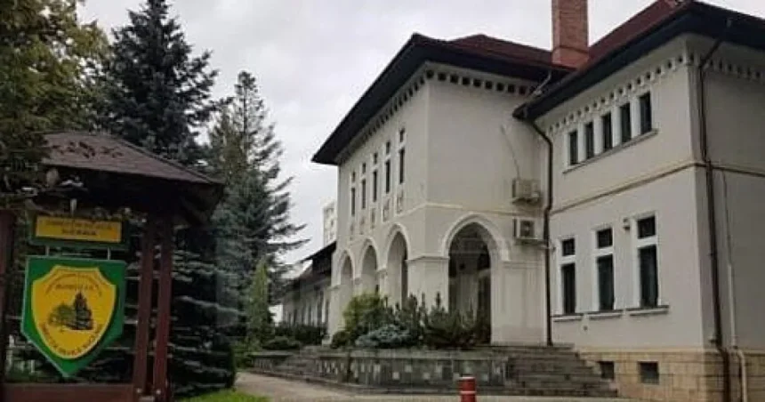 Direcția Silvică Suceava solicită Acord de Mediu pentru drum forestier Pârâul Rece