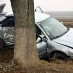 Doi tineri răniți după ce un șofer de 19 ani fără permis a lovit un copac