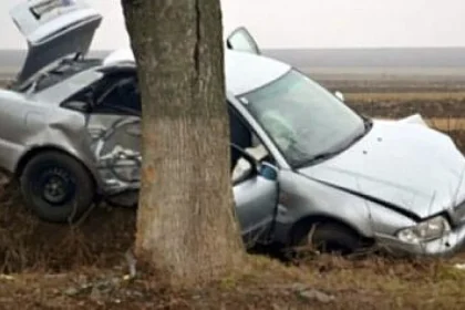 Doi tineri răniți după ce un șofer de 19 ani fără permis a lovit un copac