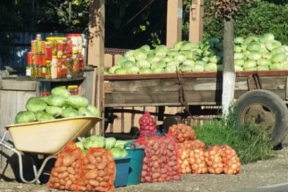 Drumul verzei de la Milișăuți începe să devină la fel de celebru ca Drumul Mătăsii