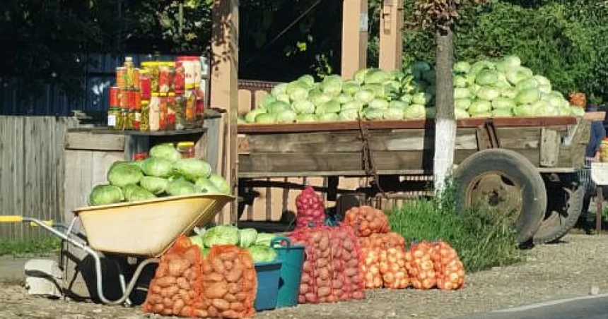 Drumul verzei de la Milișăuți începe să devină la fel de celebru ca Drumul Mătăsii