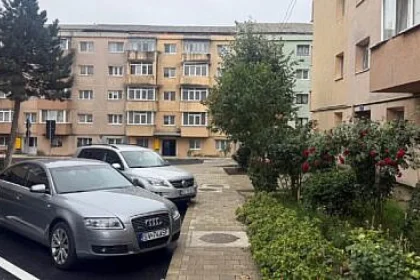Municipalitatea va planta bujori pe strada Bujorilor din Suceava, recent modernizată.