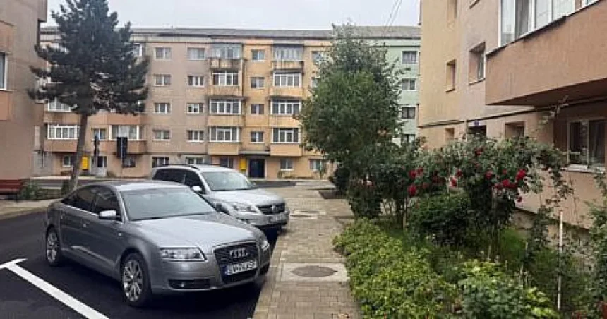 Municipalitatea va planta bujori pe strada Bujorilor din Suceava, recent modernizată.