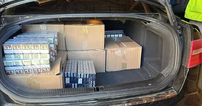 Percheziții în Suceava: bărbat reținut și țigări confiscate de peste 100.000 lei
