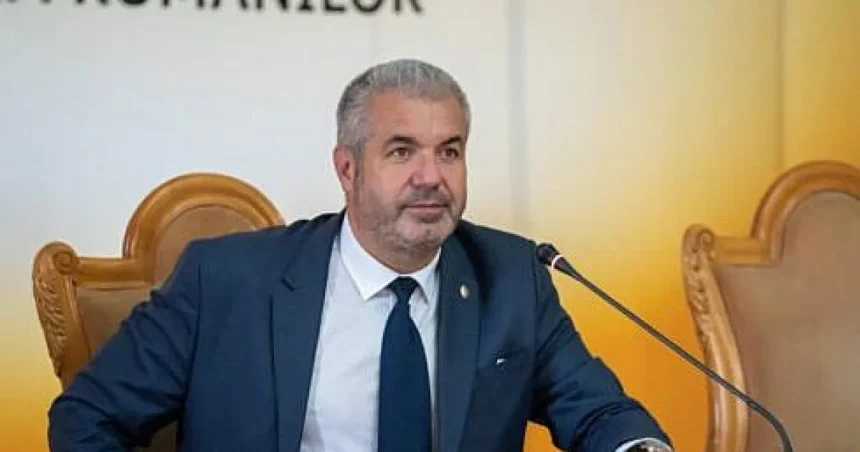 Pușcașu cere lui Bolojan renegocierea cu UE a cărbunelui până la finalul crizei