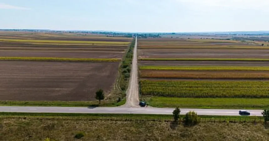 Șoldan anunță continuarea asfaltării DJ 155P, între Fântâna Mare, Baia și Fălticeni