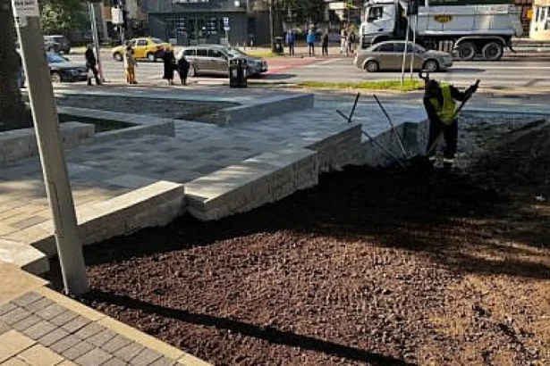 Suceava reamenajează spațiile verzi din zona giratoriului Burdujeni; iluminatul urmează