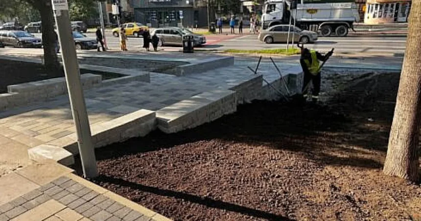 Suceava reamenajează spațiile verzi din zona giratoriului Burdujeni; iluminatul urmează