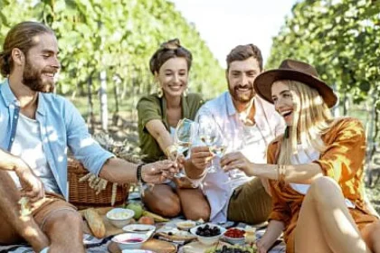 Ungaria mizează pe turismul vitivinicol în această toamnă