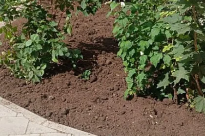 Vasile Rîmbu, la Școala Nr. 8 Suceava: „Natura îi învață pe copii respectul”