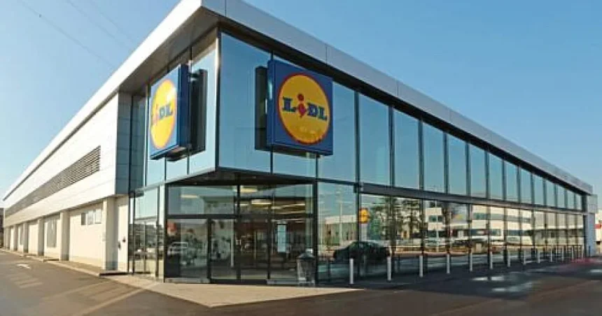 15 ani de Lidl în România: 679.000 de joburi echivalente anual susținute în economie