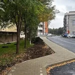 Aleea Jupiter din Suceava, aproape finalizată. Rîmbu vrea o grădină plină de culoare