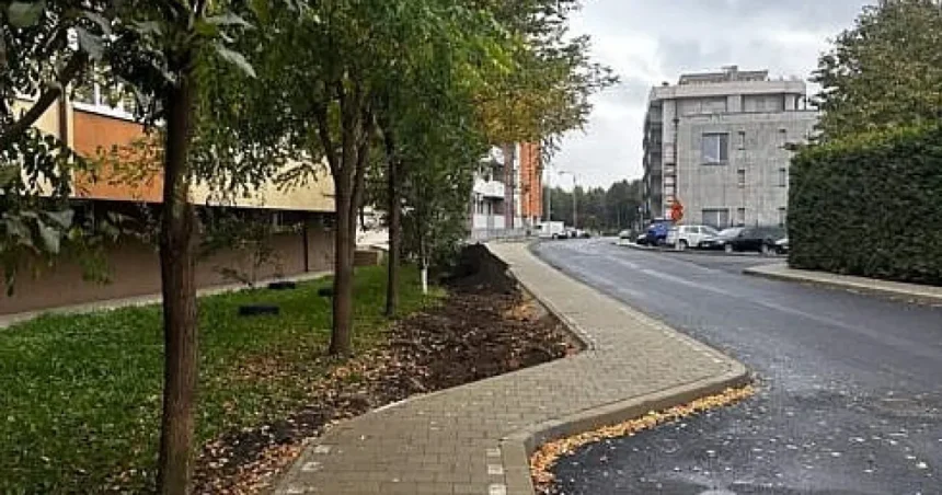 Aleea Jupiter din Suceava, aproape finalizată. Rîmbu vrea o grădină plină de culoare