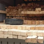 Amendă de 10.000 de lei pentru un bărbat din Panaci prins cu cherestea fără acte