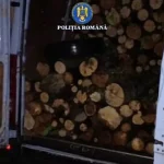 Amendat cu 6.000 de lei după ce a fost prins cu lemne de foc fără acte de 581 de lei