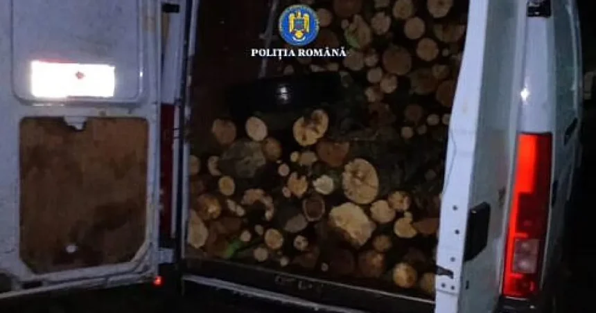 Amendat cu 6.000 de lei după ce a fost prins cu lemne de foc fără acte de 581 de lei