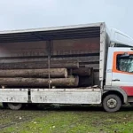 Autoutilitară de 20.000 de euro, confiscată după transportul ilegal a 6,31 mc de lemn