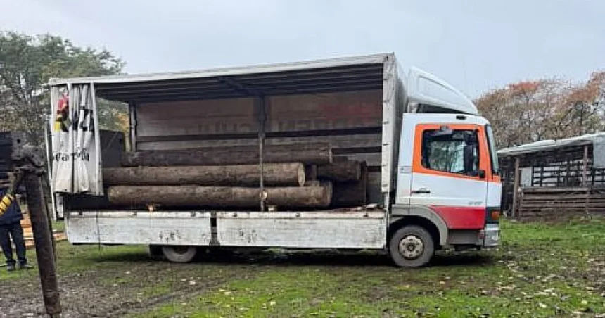 Autoutilitară de 20.000 de euro, confiscată după transportul ilegal a 6,31 mc de lemn