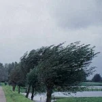 Avertizare meteo: ploi și vânt puternic până vineri noapte