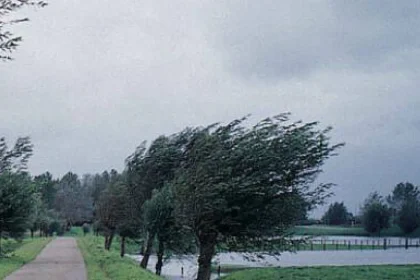 Avertizare meteo: ploi și vânt puternic până vineri noapte