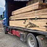 Bărbat amendat drastic după ce a fost prins transportând cherestea fără documente