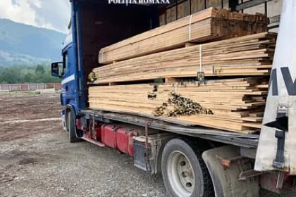 Bărbat amendat drastic după ce a fost prins transportând cherestea fără documente