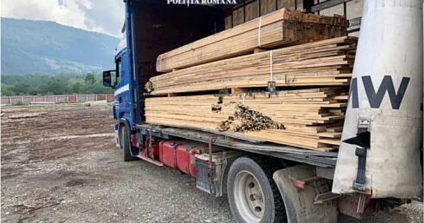 Bărbat amendat drastic după ce a fost prins transportând cherestea fără documente