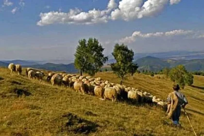 Bărbat dispărut din Vâlcea în septembrie, găsit în Prisaca Dornei îngrijind animale