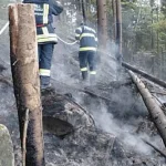 Bogdan Păstrăv cheamă la responsabilitate după incendiul din pădurea Marginea