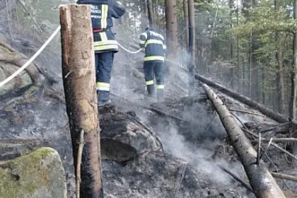 Bogdan Păstrăv cheamă la responsabilitate după incendiul din pădurea Marginea