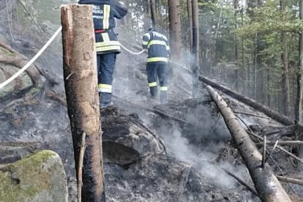 Bogdan Păstrăv cheamă la responsabilitate după incendiul din pădurea Marginea